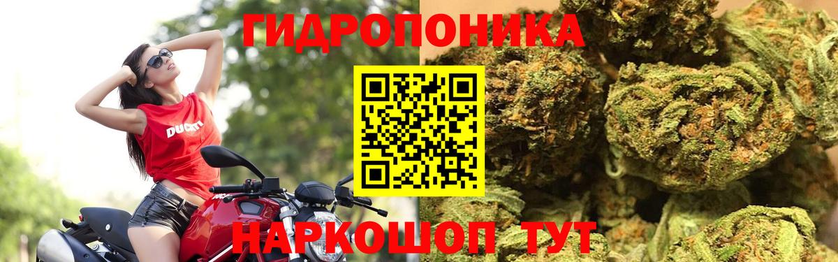 Канабис индика  Бошки марихуана ГИДРОПОН  Шишки марихуана марихуана  Верхняя Салда  Вход с VPN  Канабис индика 